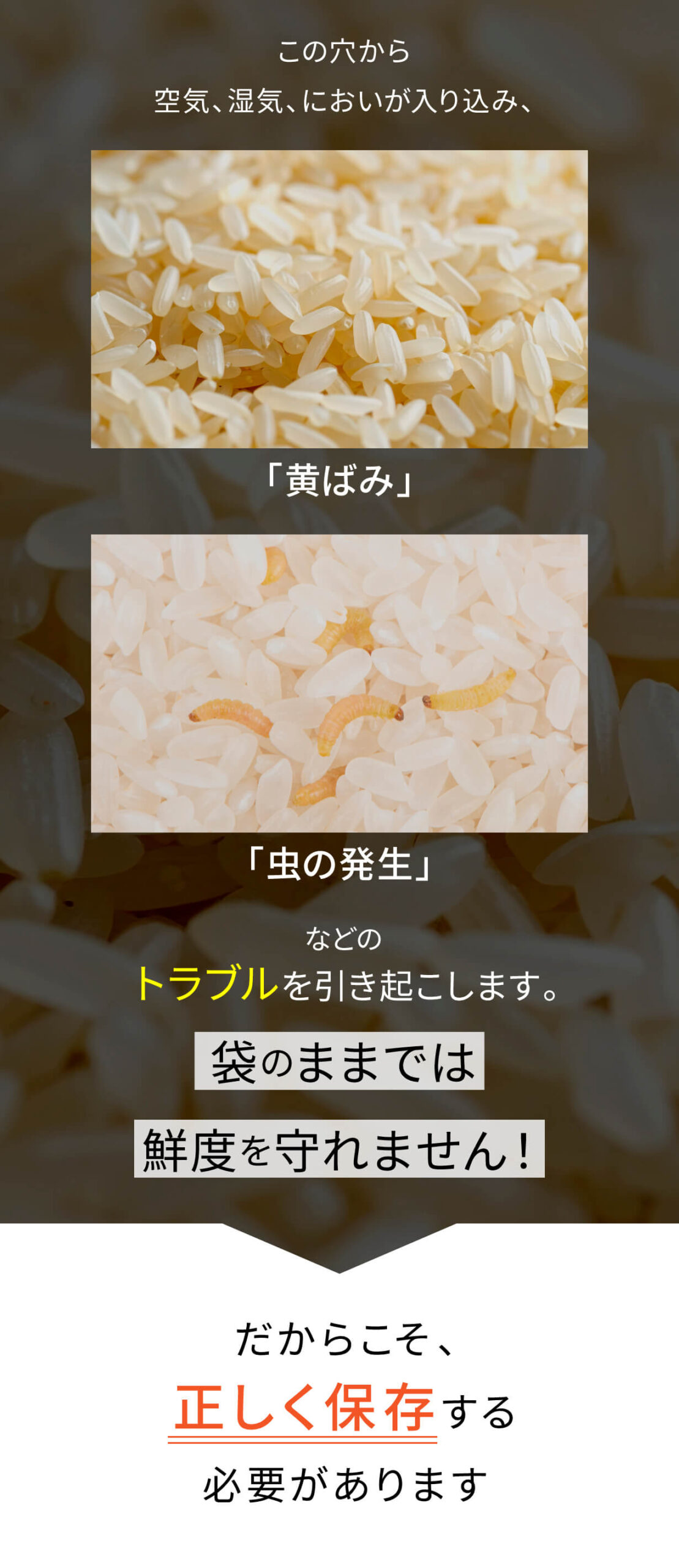 真空保存容器7 袋のままではNG