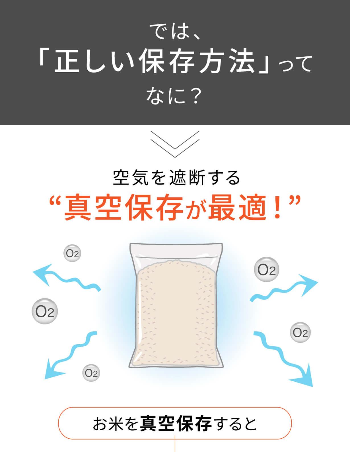 真空保存容器7L 正しい保存方法