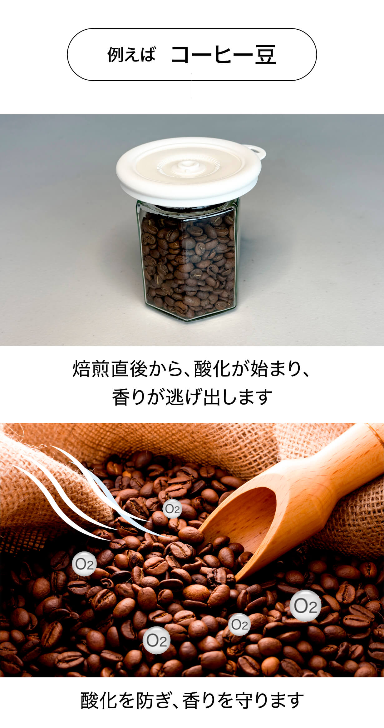 フタ 例えば コーヒー豆