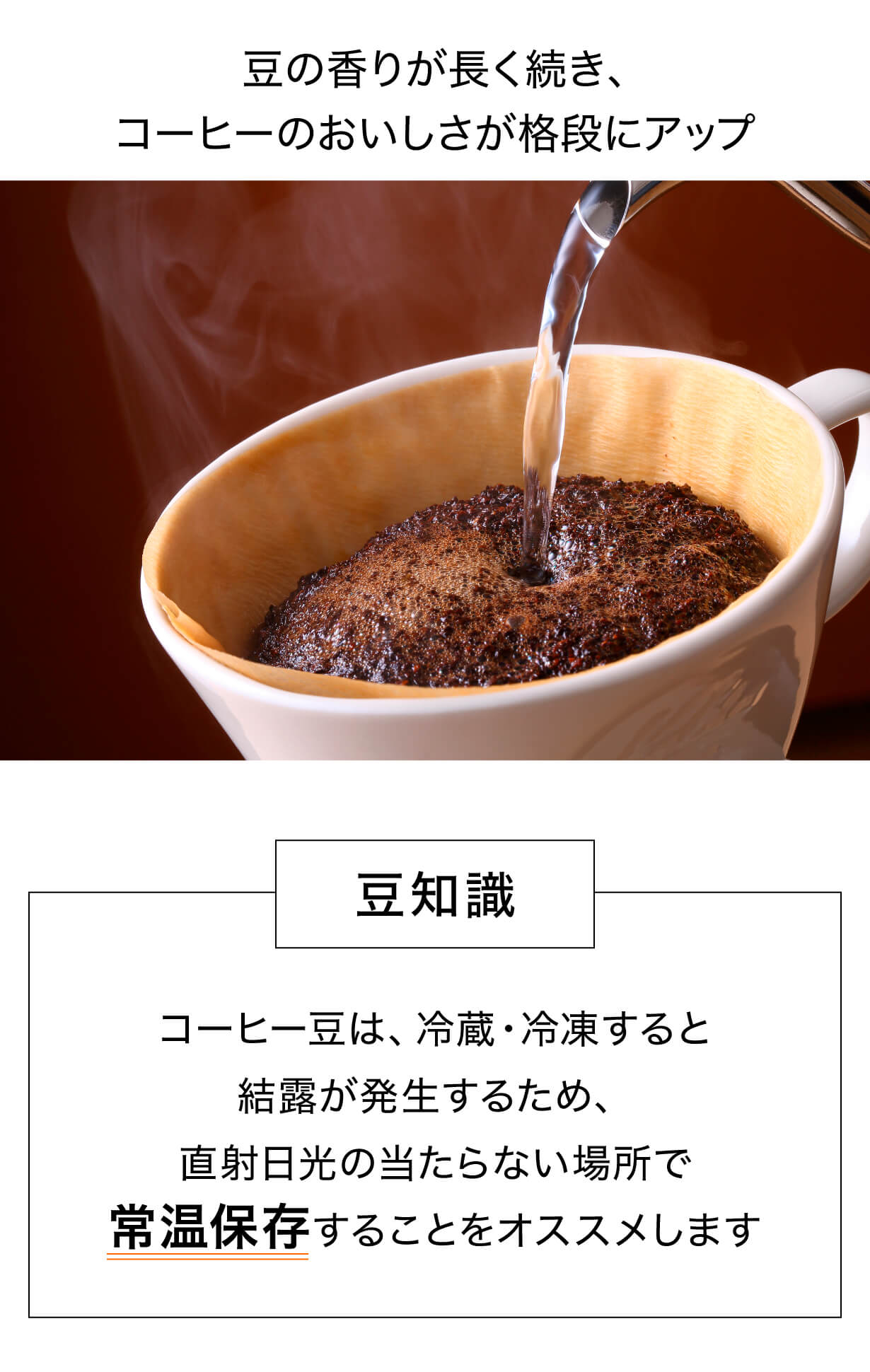 フタ コーヒー豆 豆知識