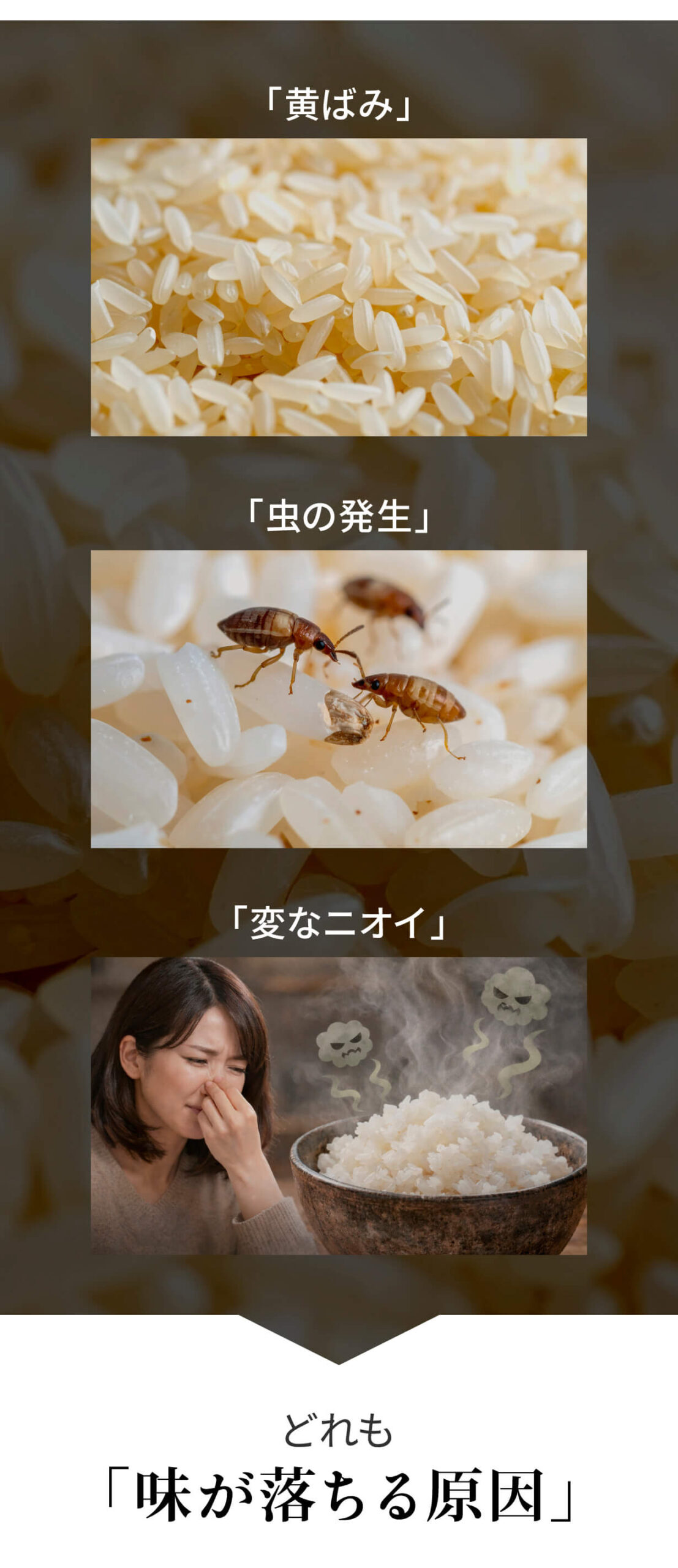 IWANO  黒蔵 プレミアム