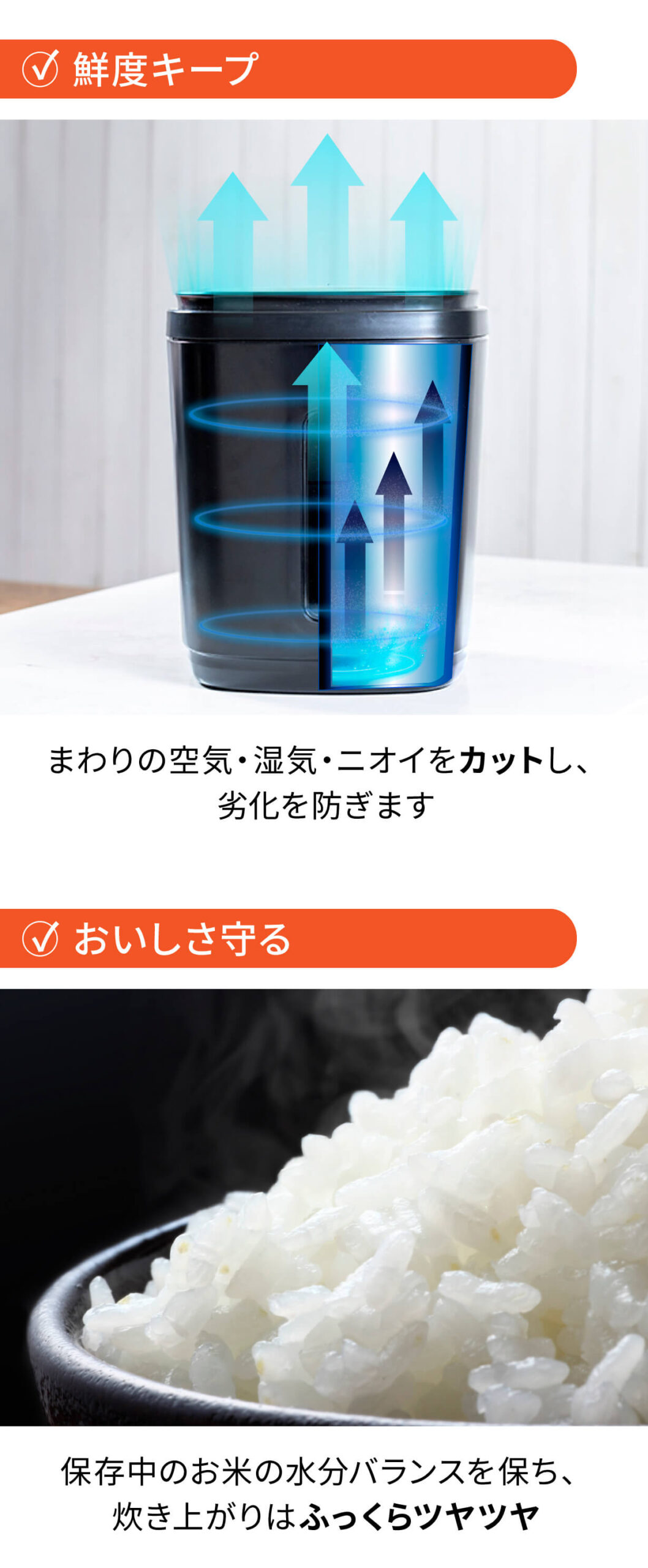 IWANO  黒蔵 プレミアム