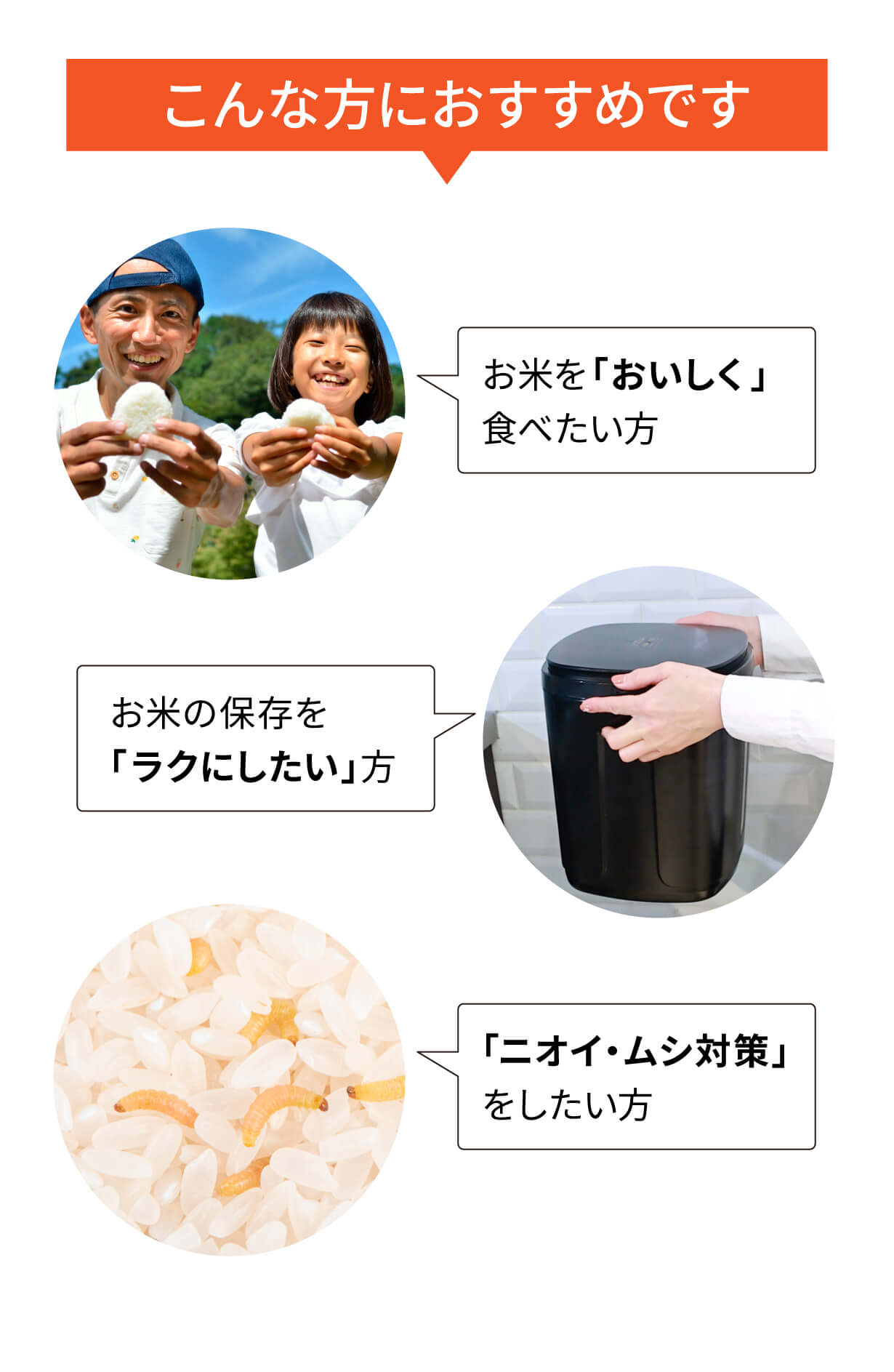 IWANO  黒蔵 プレミアム